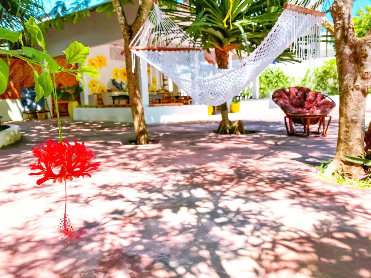 Papaya Guest House Nungwi Esterno foto
